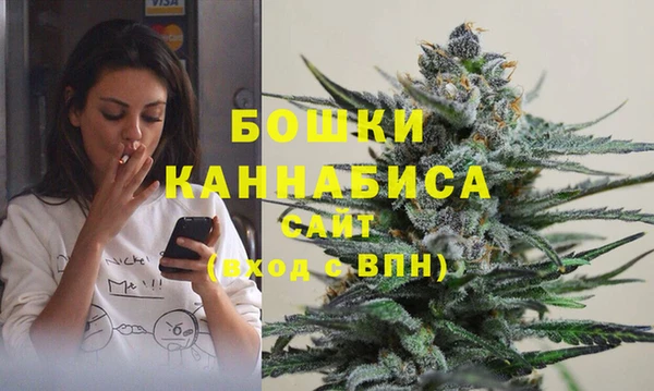 МДПВ Елизово