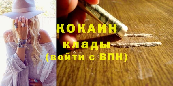 МДПВ Елизово