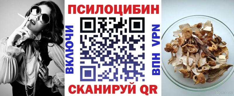 Псилоцибиновые грибы GOLDEN TEACHER  Купить закладки  Нефтекумск 
