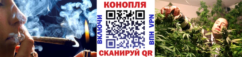Купить  Нефтекумск  Конопля сатива 